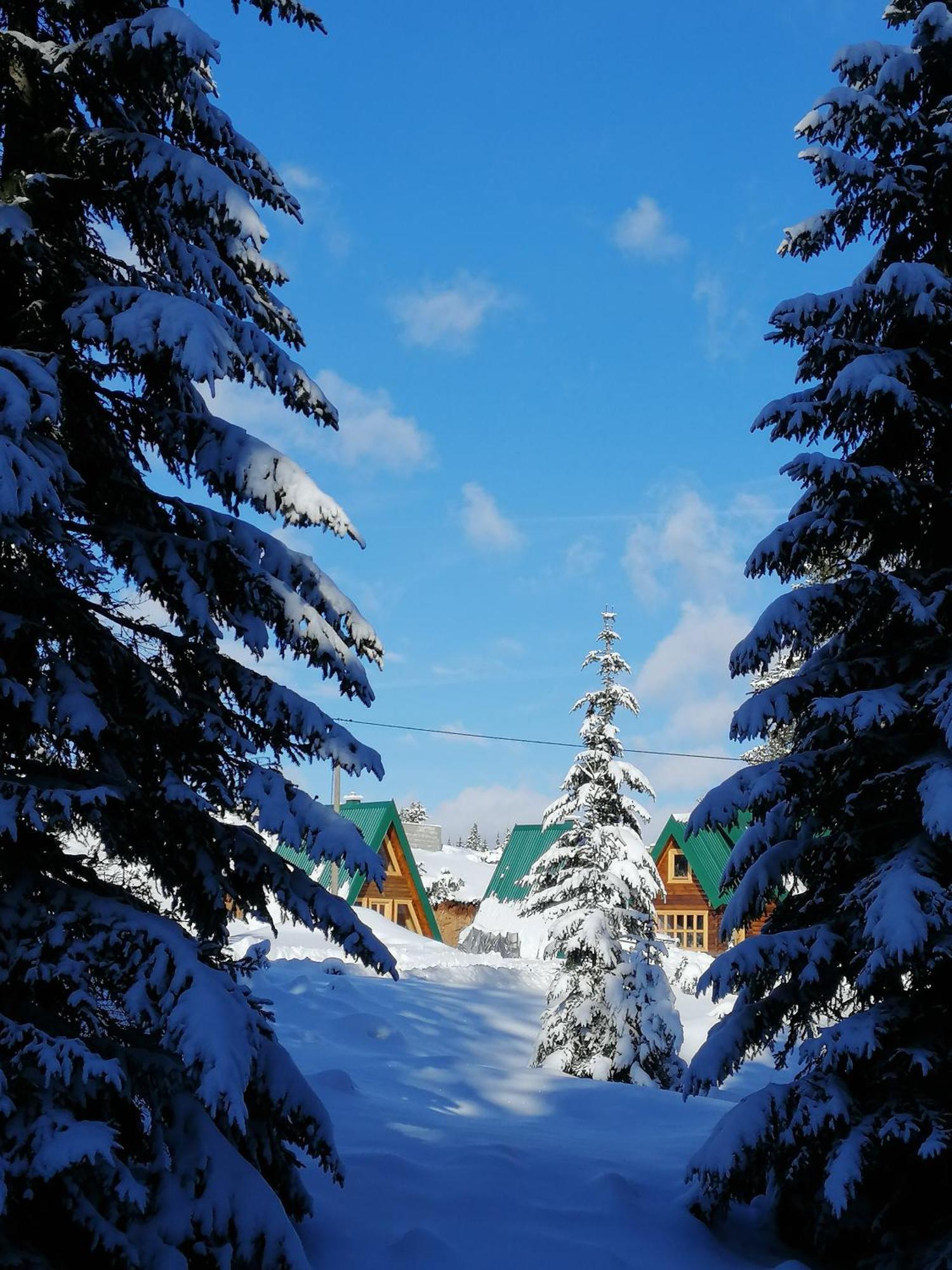 Chalet M&k Zabljak (Zabljak)