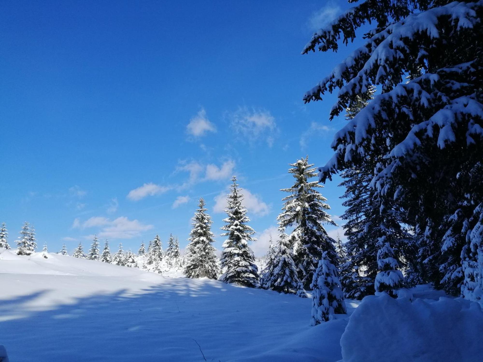 M&k * Zabljak (Zabljak)